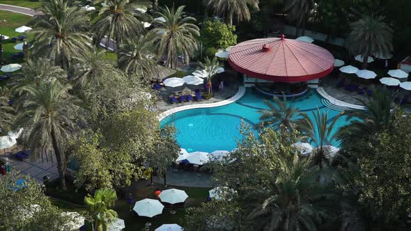 Pool Among Palm Trees, View From Above