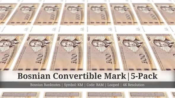 Bosnian Convertible Mark | Bosnia and Herzegovina Currency - 5 Pack | 4K Resolution | Looped alt