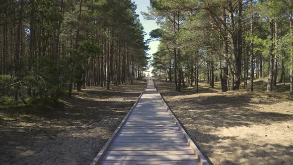Wooden Path Through the Forest Into the Dunes