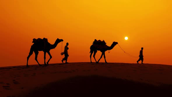 Cameleers, Camel Drivers at Sunset alt