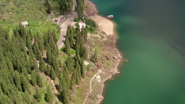 Green trees and the lake alt