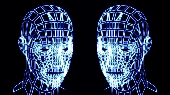 Grid Human Head