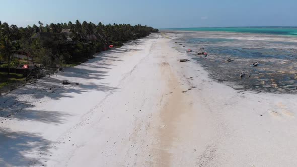 Lot of Fishing Boats Stuck in Sand Off Coast at Low Tide Zanzibar Aerial View alt