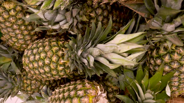 Many Green Pineapples Closeup Rotating on a  Background in Store for Buyer. alt