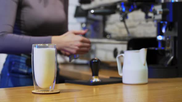 Professional barista standing at bar counter in coffee shop alt