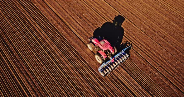 Tractor sowing soybeans with seed drill on plowed field alt