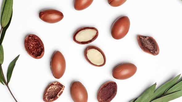 Argan Seeds on a White Background alt