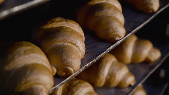 Close View of Plates with Baked Croissants in a Bakery alt
