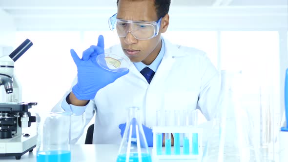 Scientist in Laboratory Studying Reaction in Watch Glass alt