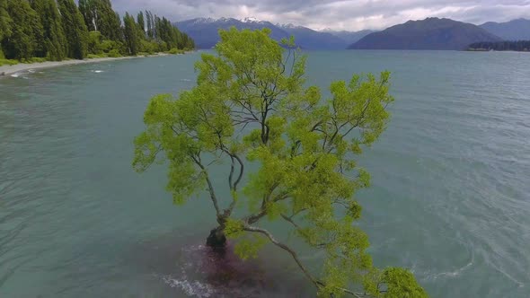 Aerial View of Lake Wanaka and Lone Tree, Landmark of Wanaka, New Zealand alt
