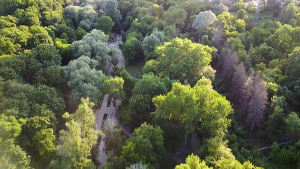 Aerial view green summer Sarzhyn Yar, Kharkiv city