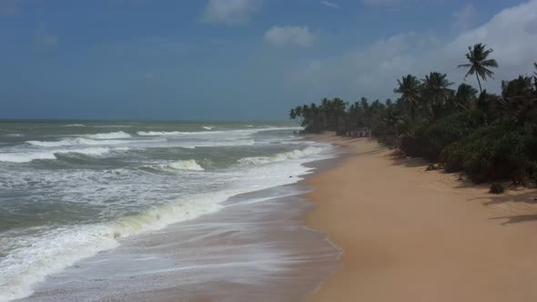 beach with waves and palm trees in cloudy weather alt