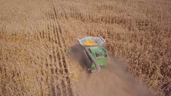 A Combine Harvester To Harvest Maize on the Field alt