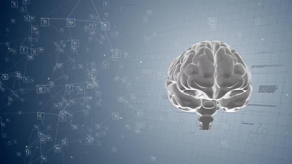 Brain On The Scientific Background