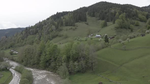 River in the Mountains. Slow Motion. Carpathians. Ukraine. Aerial. Gray, Flat alt