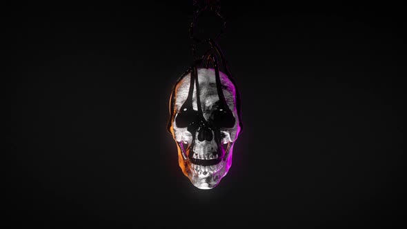 Skull with Flowing Resin alt