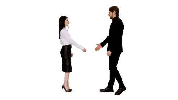 Two Business Partners Greeting Each Other With a Handshake