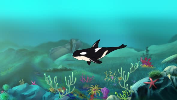 Killer whale underwater 4K animation
