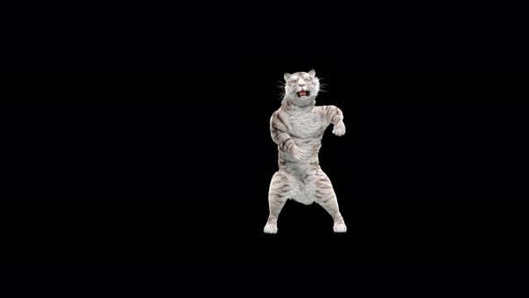 White Tiger Dancing 4K alt