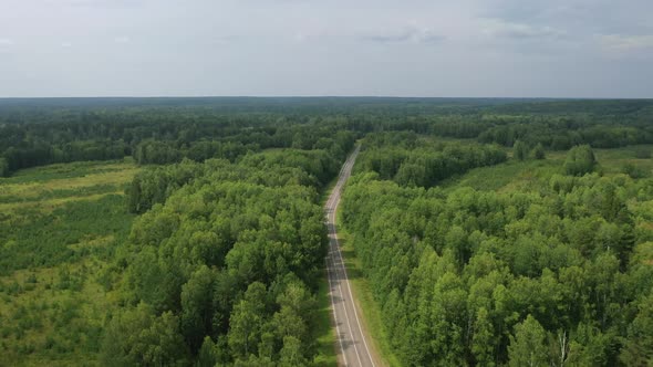 Forest and road aero view