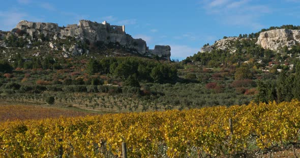 Vineyards, Les Baux de Provence, France alt