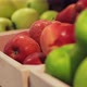 Fresh Farm Fruits Green and Red Apples are in Drawer Box on Shelf in Store Shop - VideoHive Item for Sale