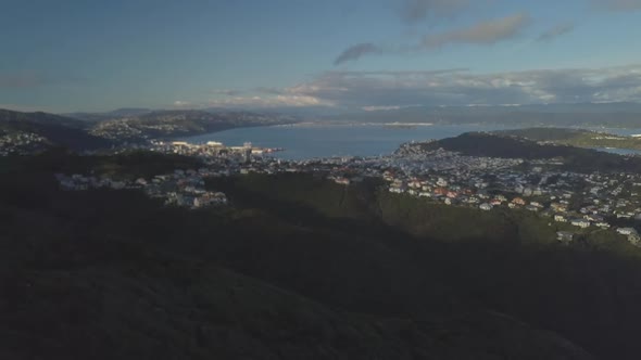 Cityscape of Wellington