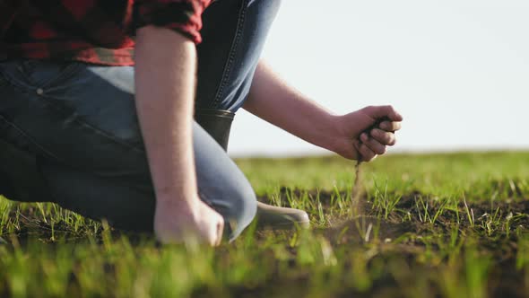 Organic Gardening Agriculture alt