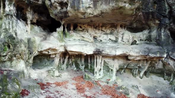 The Cave Grotto in the Forest