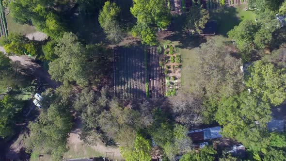 AERIAL: Slow birds eye decent onto a farm in Austin, Texas where a worker spreads dirt onto rows of alt