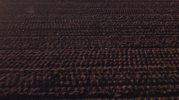 Plowed field at sunset seen from a drone
