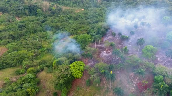 Aerial view over smoky, burnt nature, rain forests of Africa - pan, drone shot alt