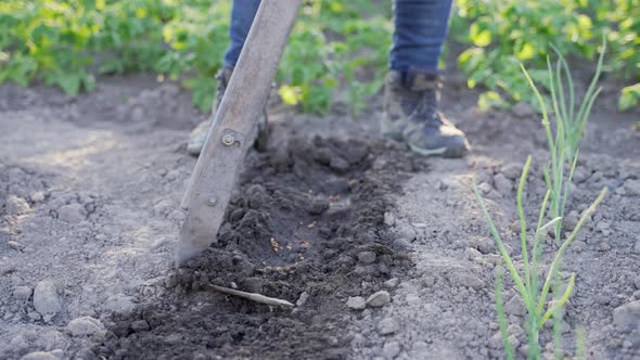 Farmer Sowing Seeds in Soil on Agriculture Field alt