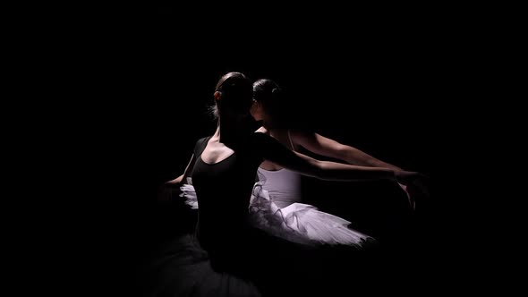Orbital Shot of a Pair of Charming Ballerinas in the Form of a Black and White Swan alt