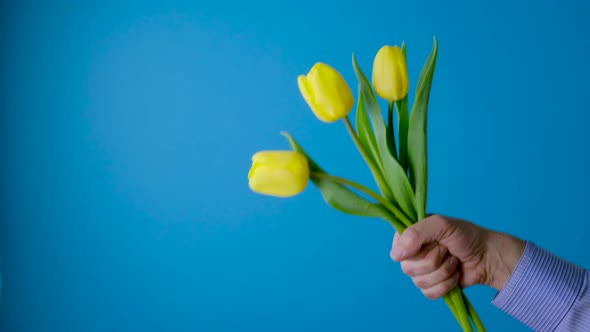 Bouquet of Tulips alt
