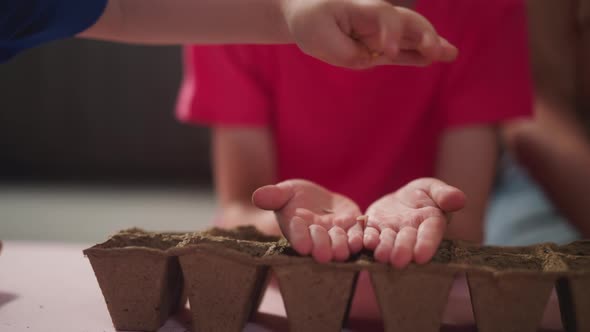 Little Children Plant Houseplants in Peat Pots alt