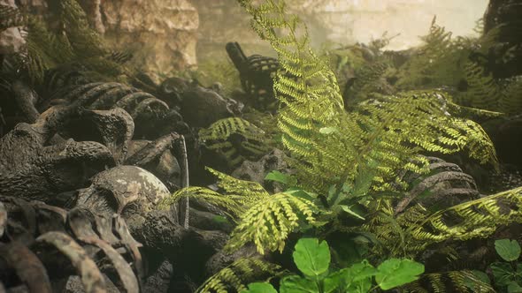 Ancient Skeletal Remains And Bones alt