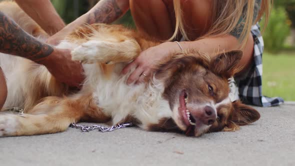 Close Up of Young Couple Petting Their Dog While Having a Walk in Park