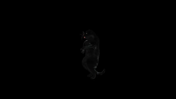 Panther Dancing HD alt
