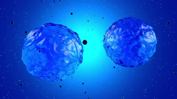 3D rendered animation, visualisation of a stem cell dividing alt