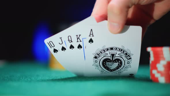 Poker Table During a Game alt