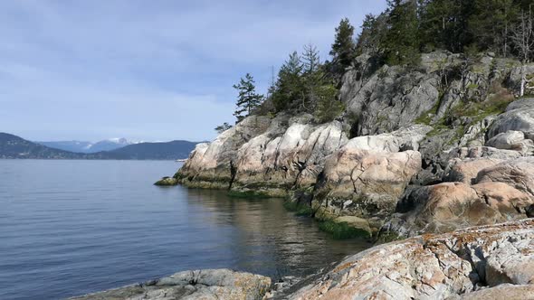 Rocks and Forest At Pacific Coast alt