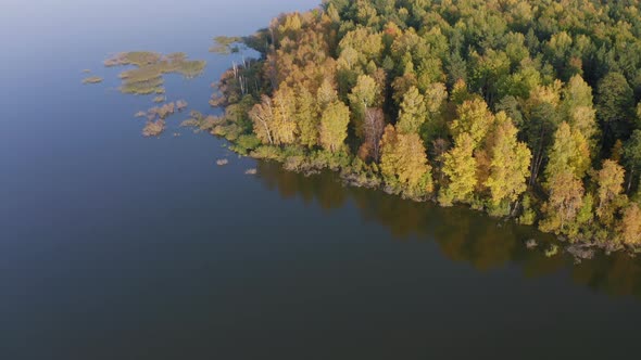 Aerial Footage of a Surface of the Lake Surrounded By Colorful Forest in Autumn