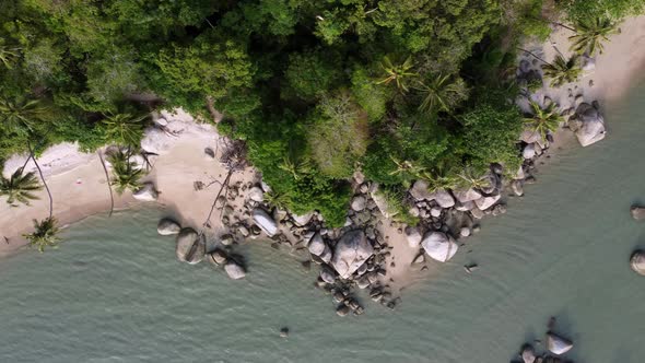 Aerial top down view follow the beach alt