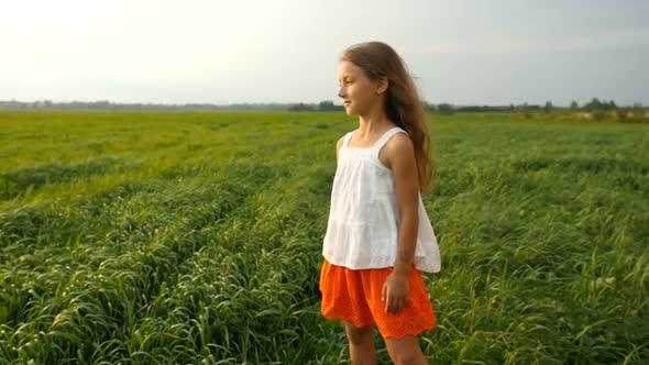 Child, Little Girl Standing in a Green Grassy Field, the Wind Blows Her Hair. Cute Kid Walking
