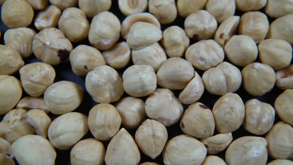 Hazelnuts on the turn table alt