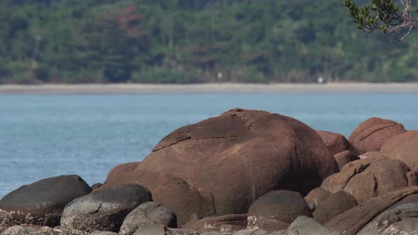 Heatwaves over rocks in rainforest bech  scenery alt
