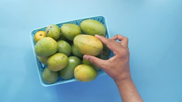 Hand Pick Fresh Green Mango in a Bowl on Table alt