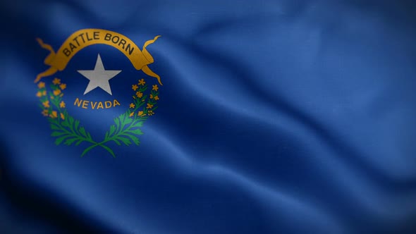 Nevada State Flag Blowing In Wind alt
