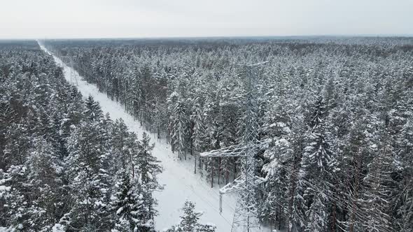 Amazing Revealing Shot of Power Lines with Many Towers in Winter Snowy Forest alt